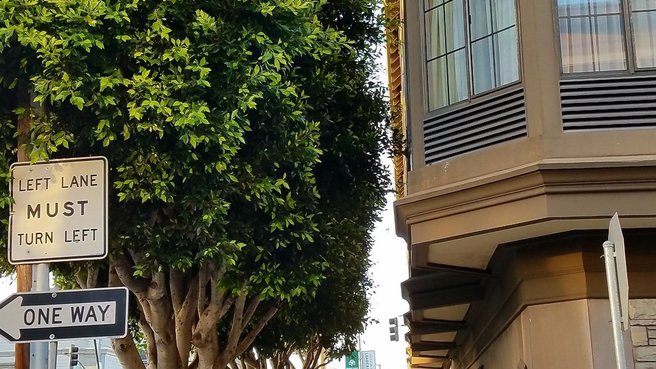 Photo of Outdoor in Cow Hollow