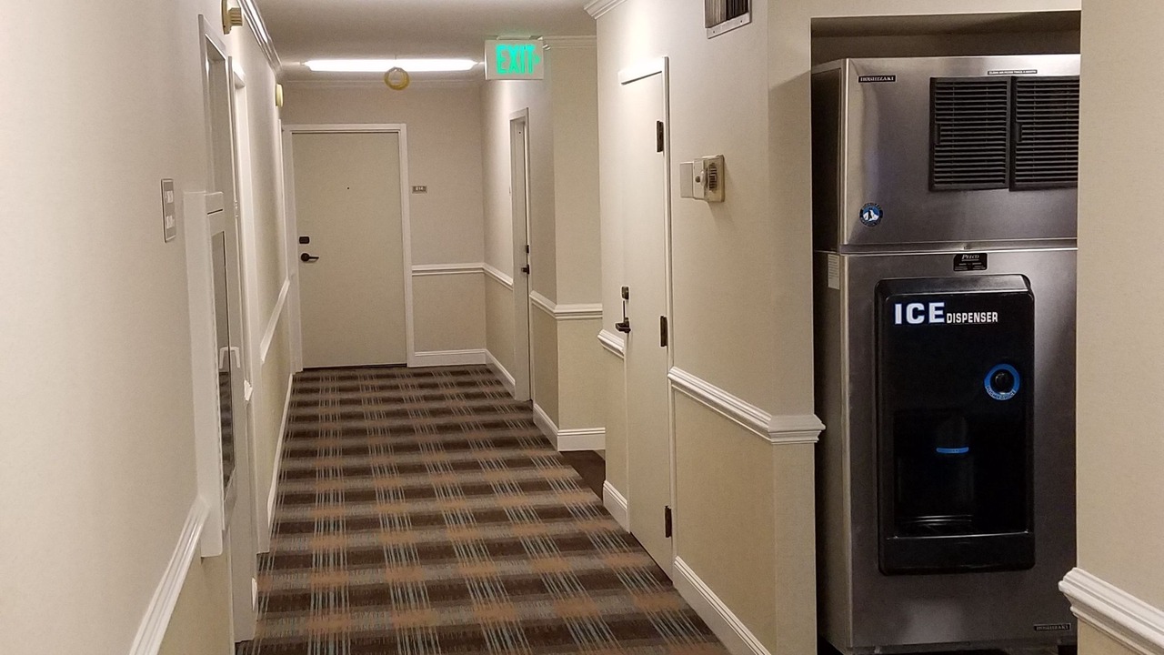 Photo of Others in Cow Hollow