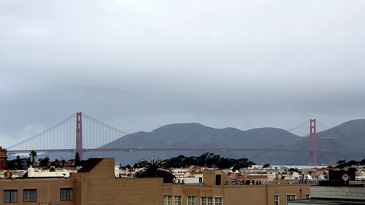 Photo of Outdoor in Cow Hollow