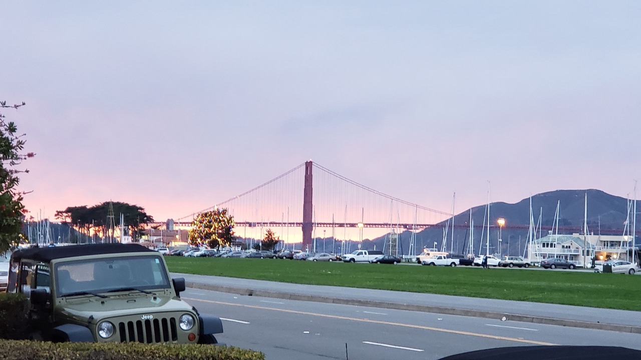 Photo of Others in Cow Hollow