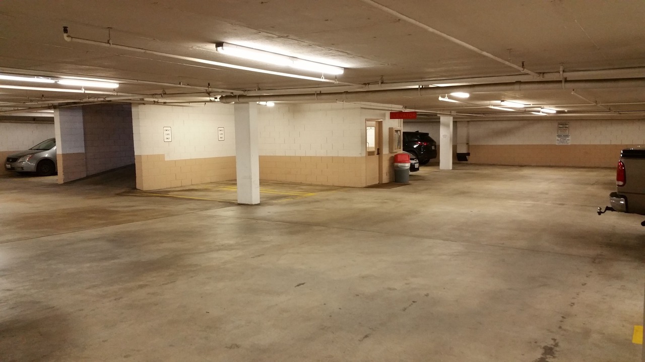 Photo of Others in Cow Hollow