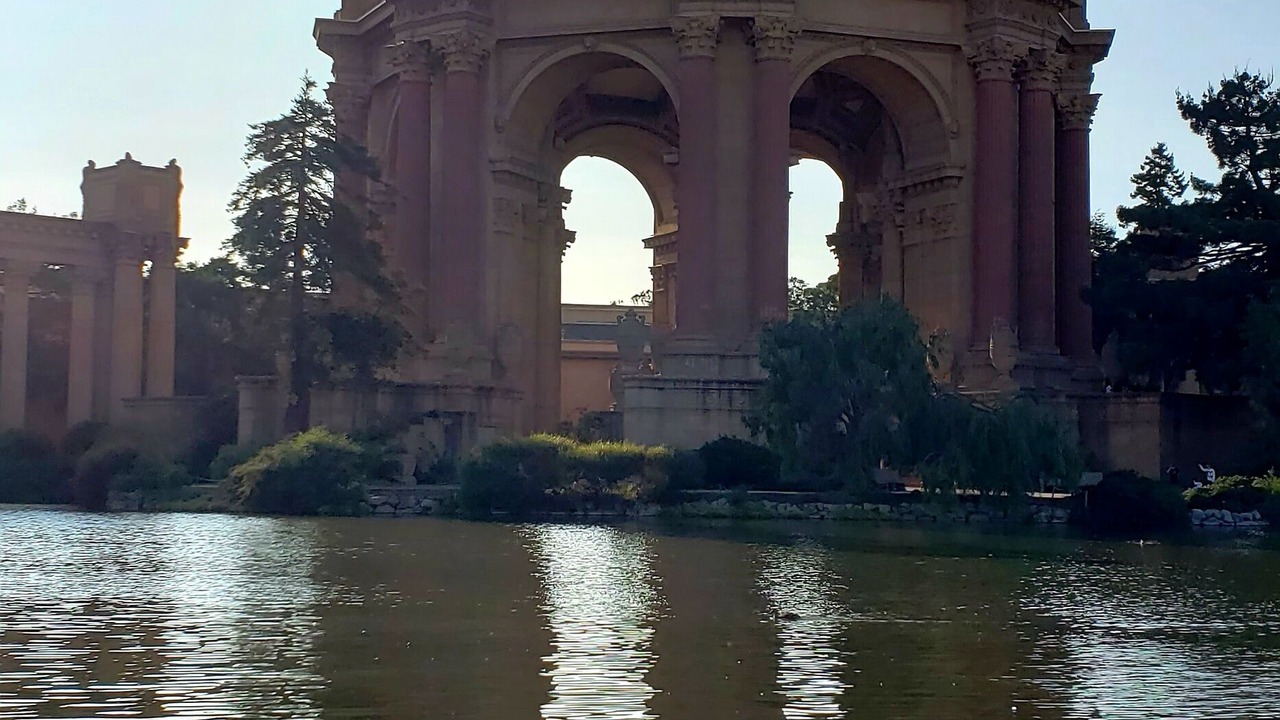 Photo of Others in Cow Hollow