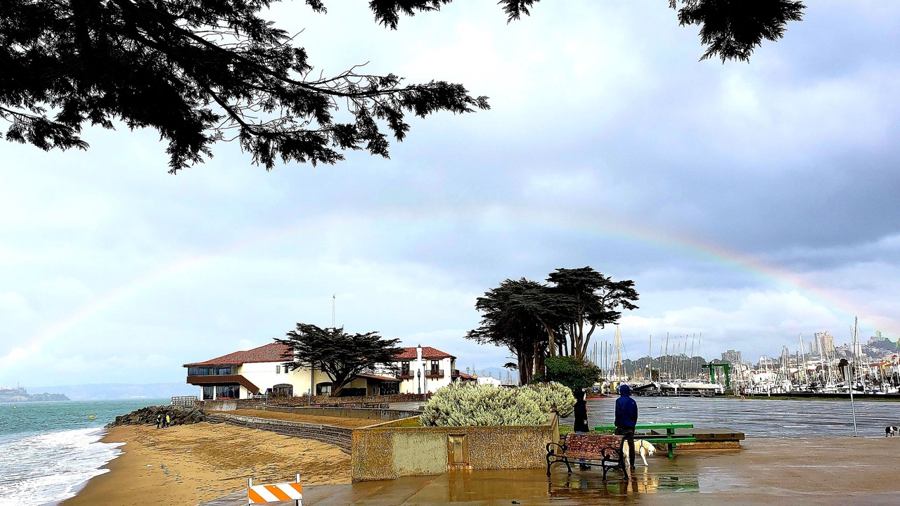 Photo of Others in Cow Hollow