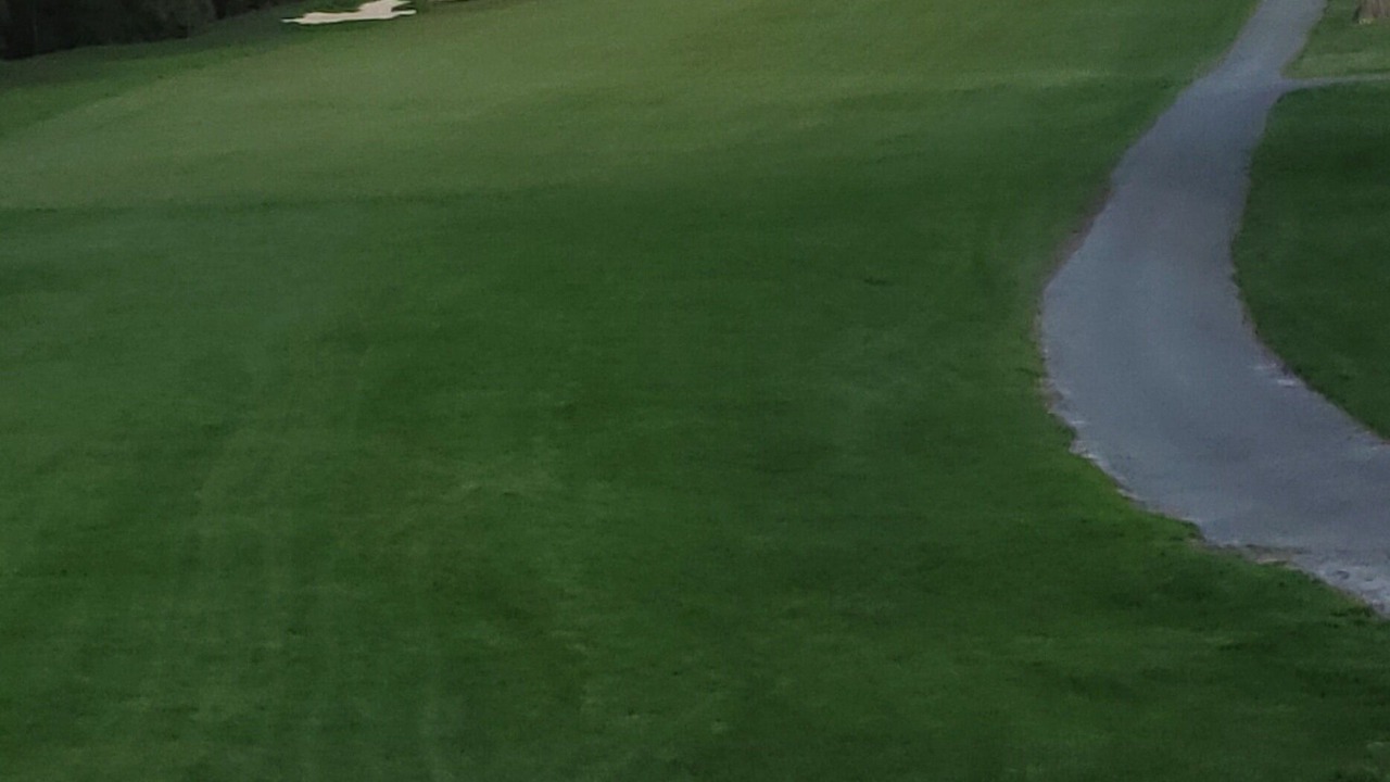 Photo of Others in Cow Hollow