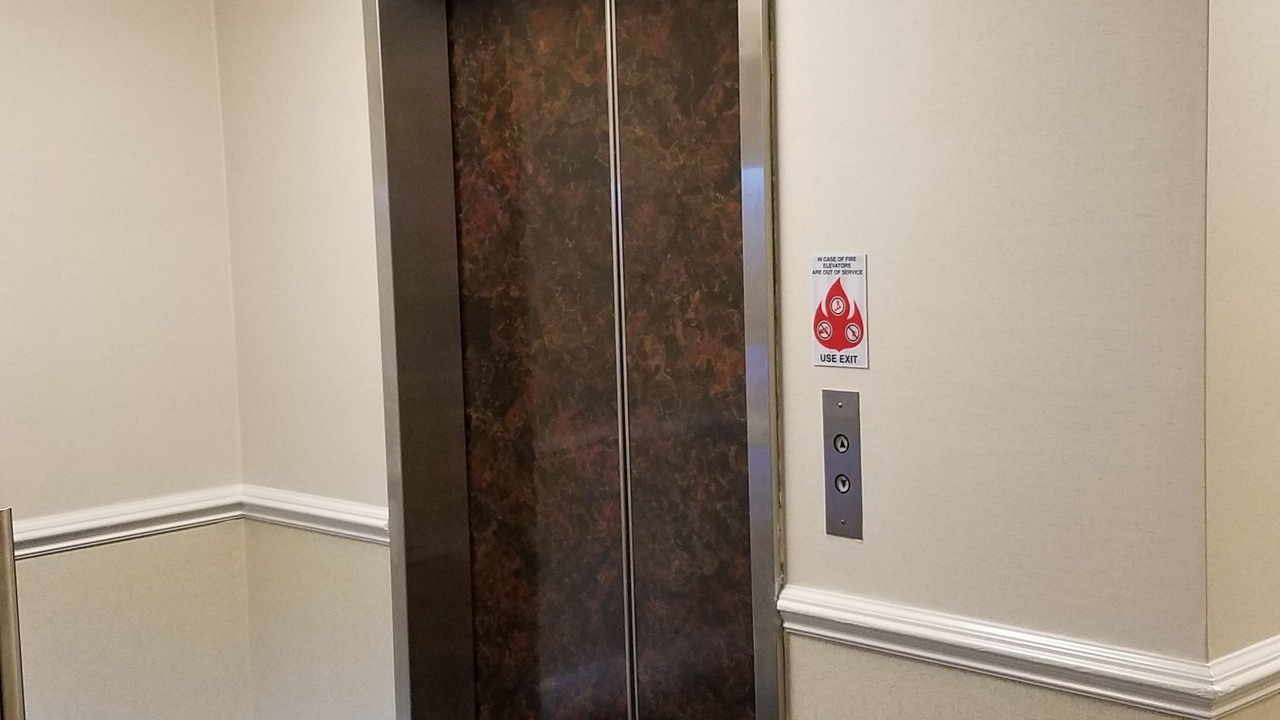 Photo of Others in Cow Hollow