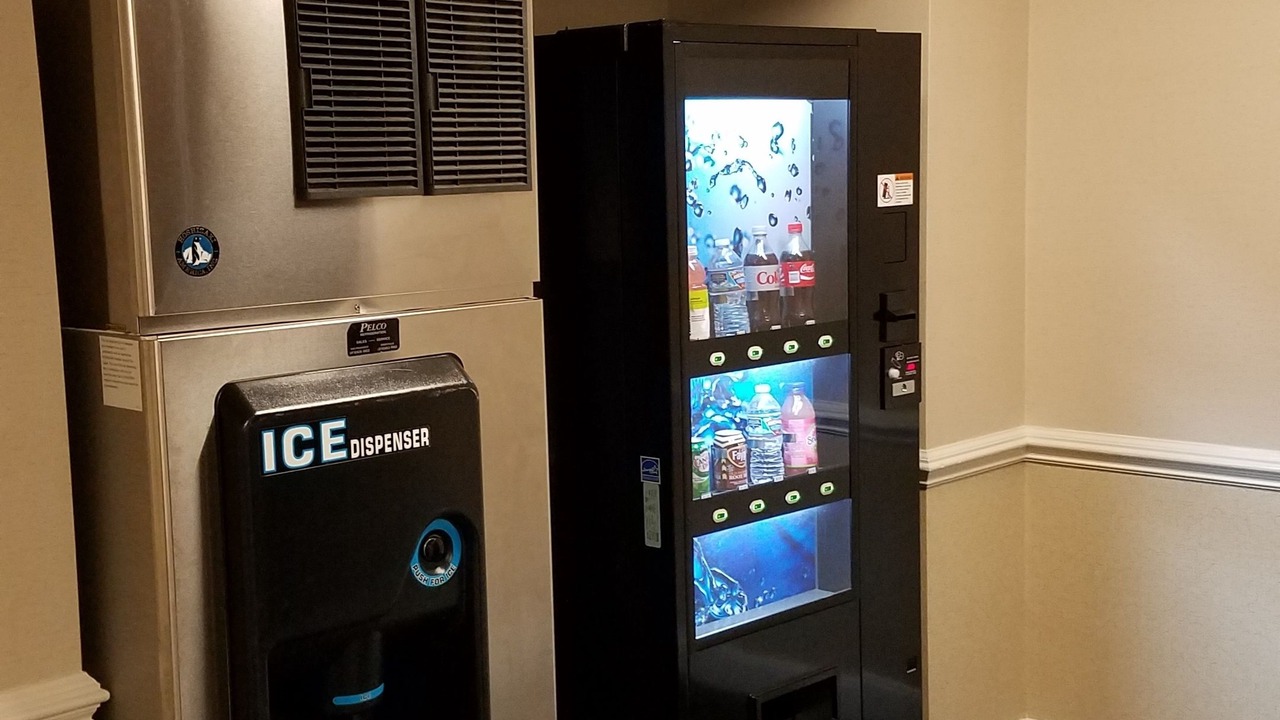 Photo of Others in Cow Hollow