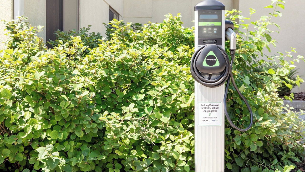 Photo of Others in Witmer