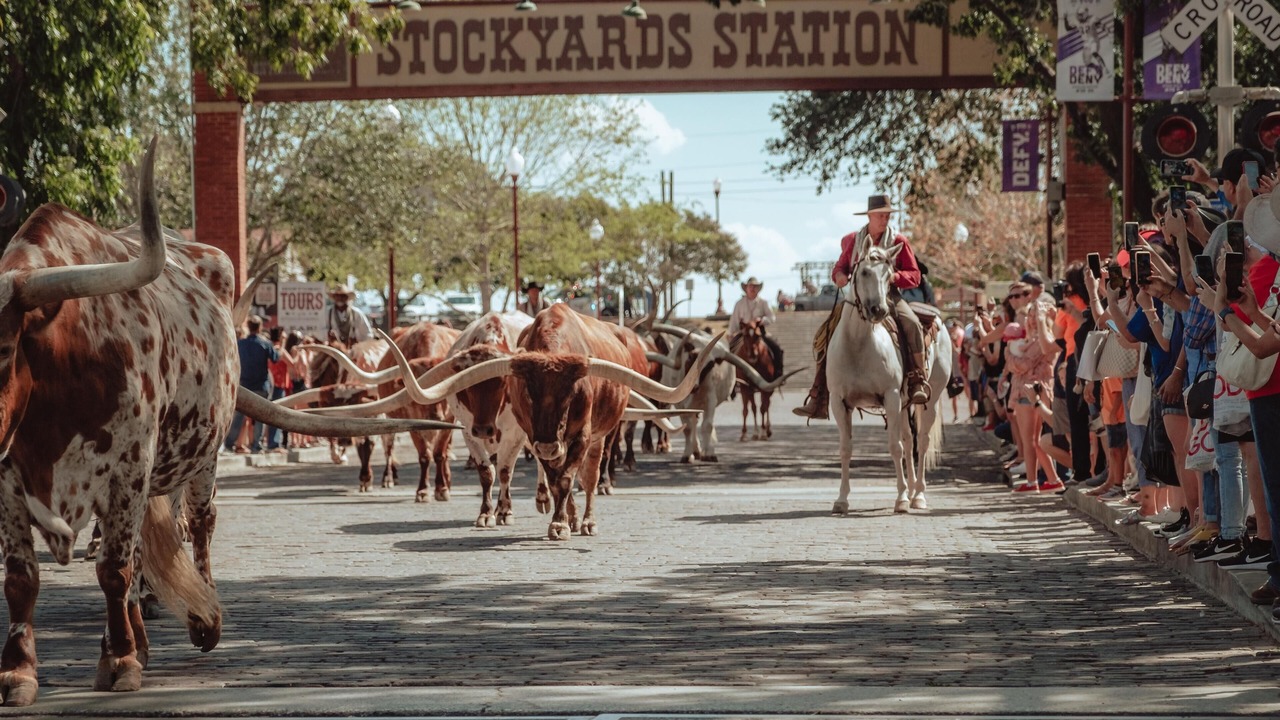 Photo of Others in Fort Worth