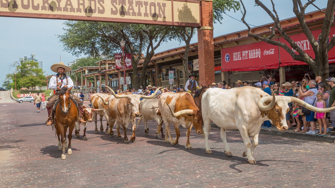 Photo of Others in Fort Worth