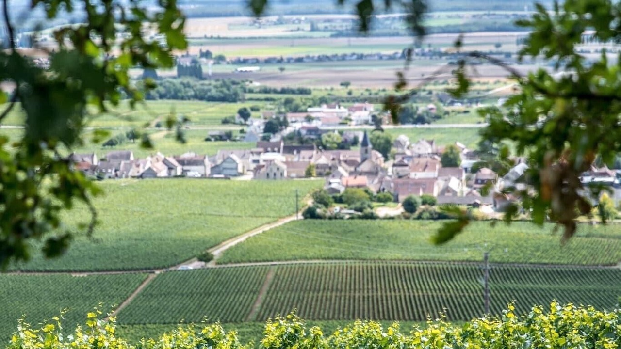 Photo of Others in Vosne-Romanee