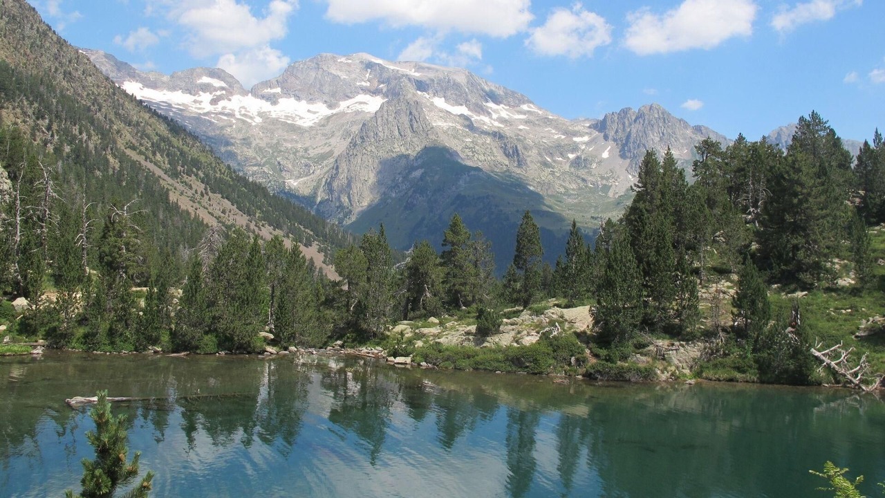 Photo of Others in Cerler