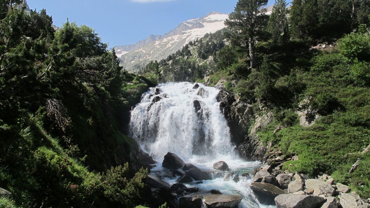 Photo of Others in Cerler