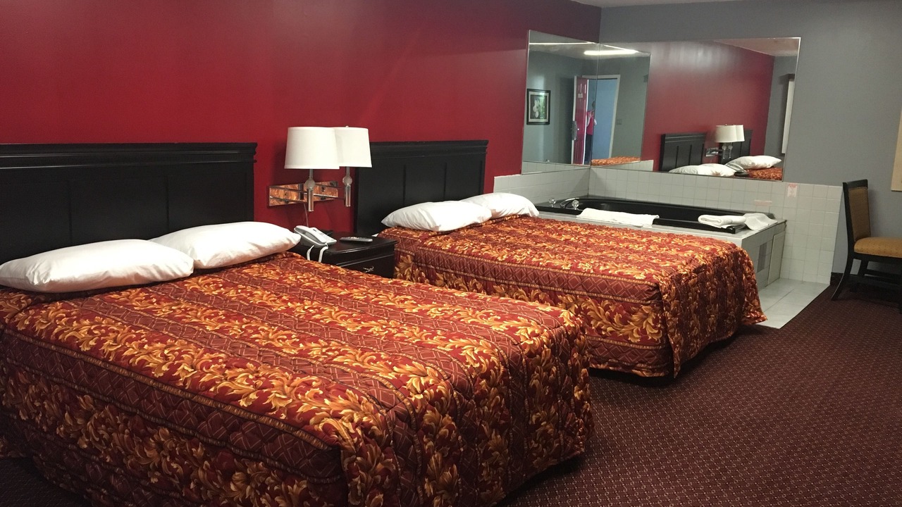 Photo of Others in Galloway