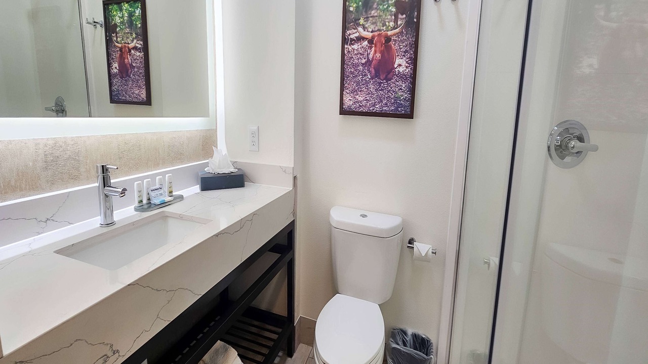 Photo of Bathroom in Mesquite