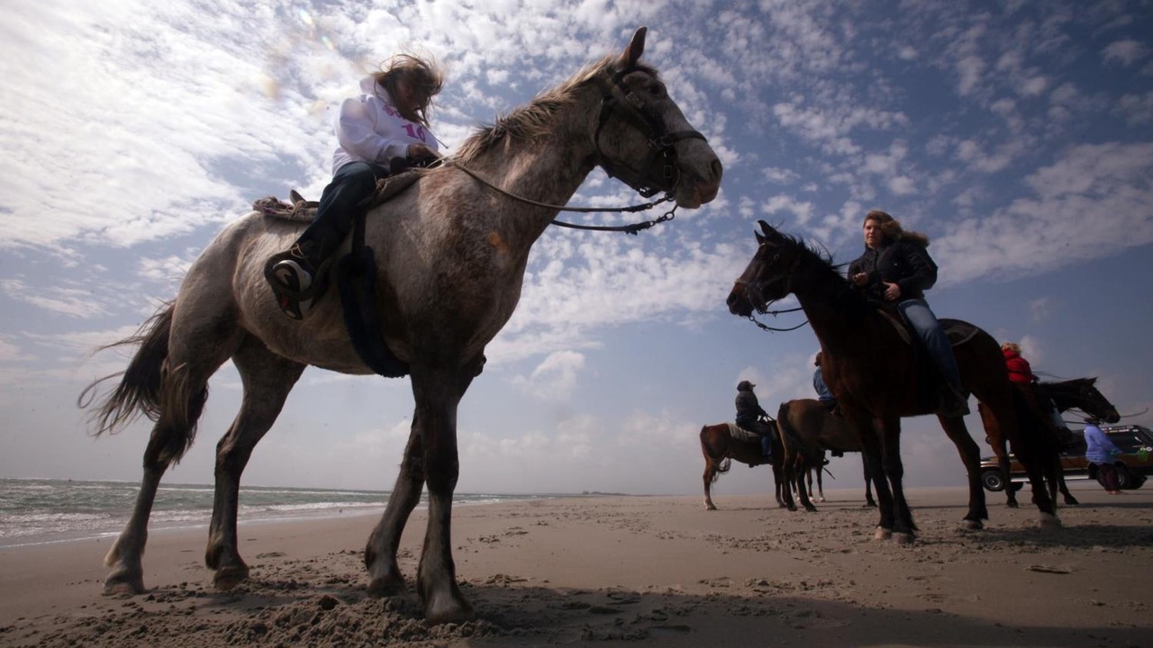 Photo of Others in Shinnecock Hills