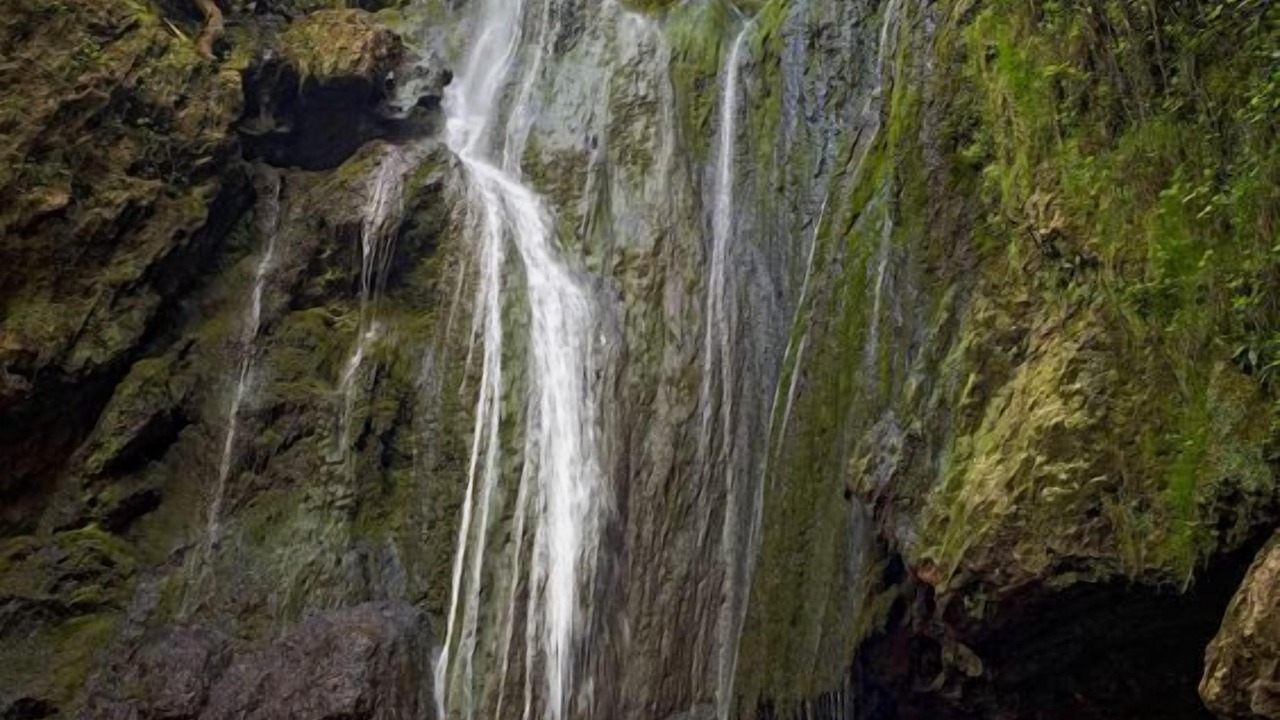 Photo of Others in Loubressac