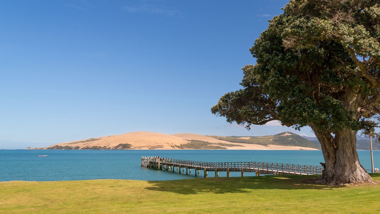 Photo of Others in Omapere