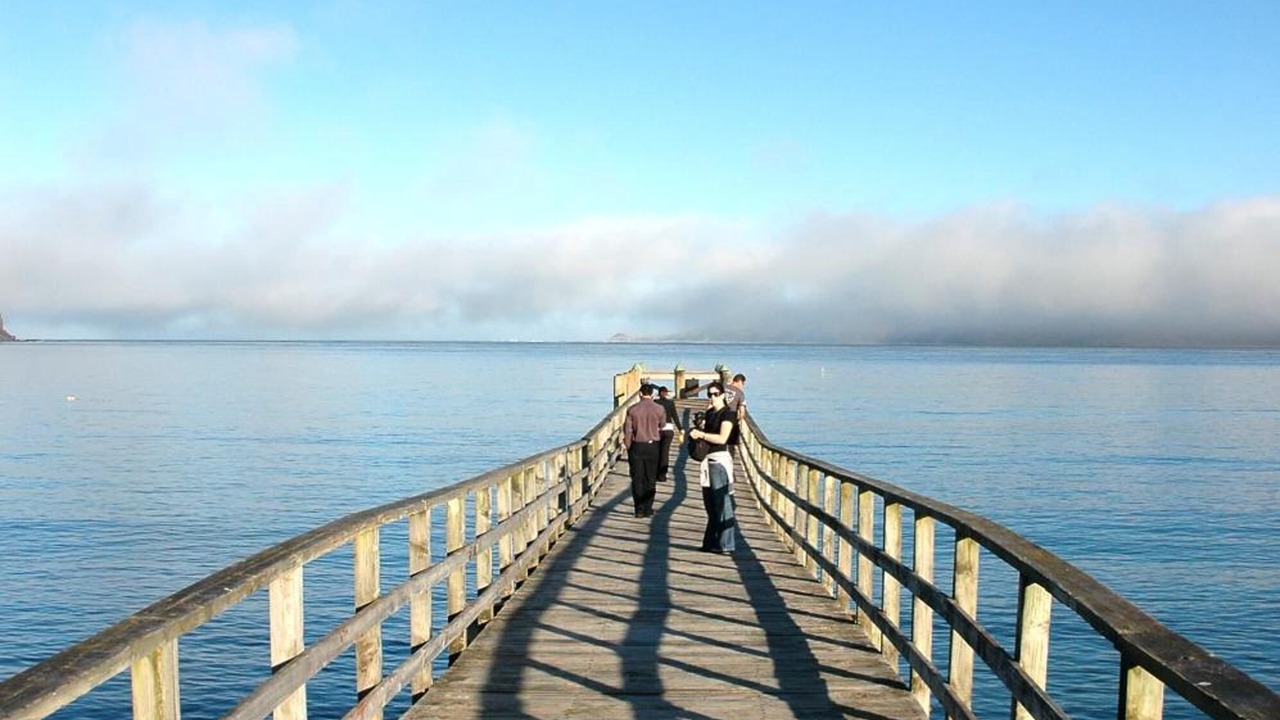 Photo of Others in Omapere