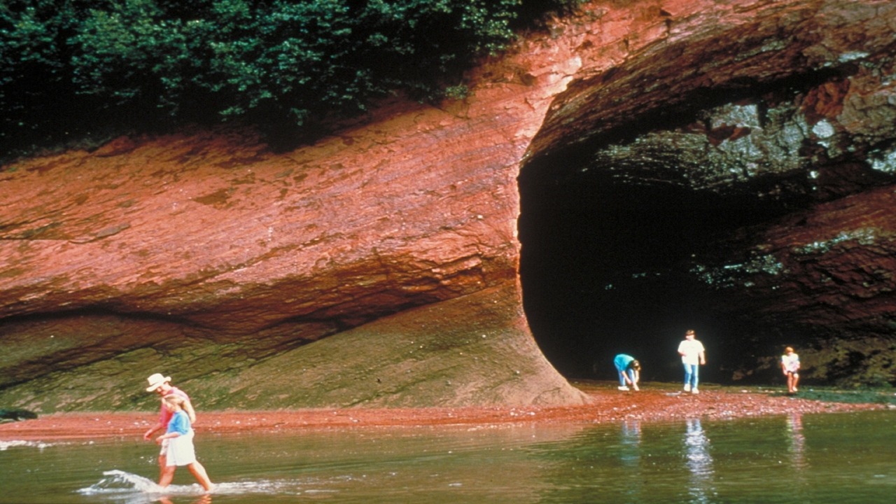 Photo of Others in Saint John