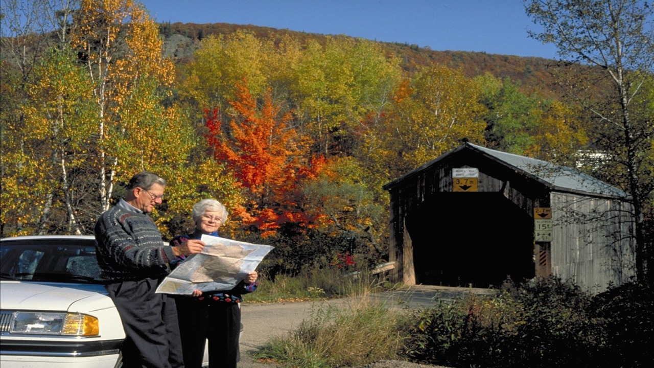 Photo of Others in Saint John