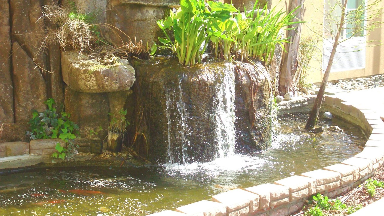 Photo of Outdoor in Red Bluff