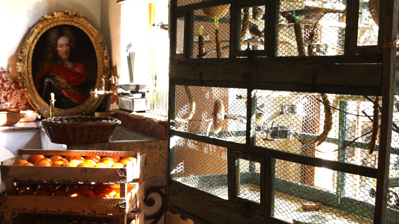 Photo of Others in Faubourg