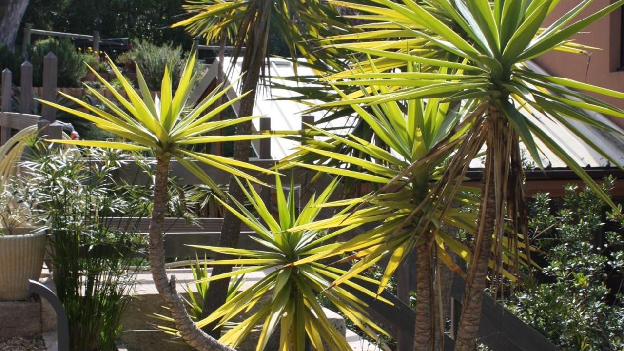 Photo of Outdoor in Porquerolles