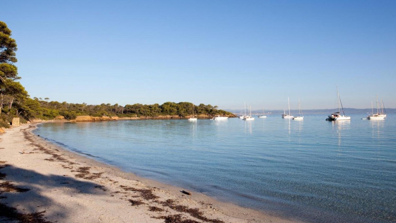 Photo of Others in Porquerolles