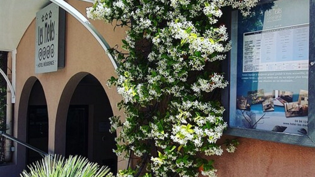 Photo of Outdoor in Porquerolles