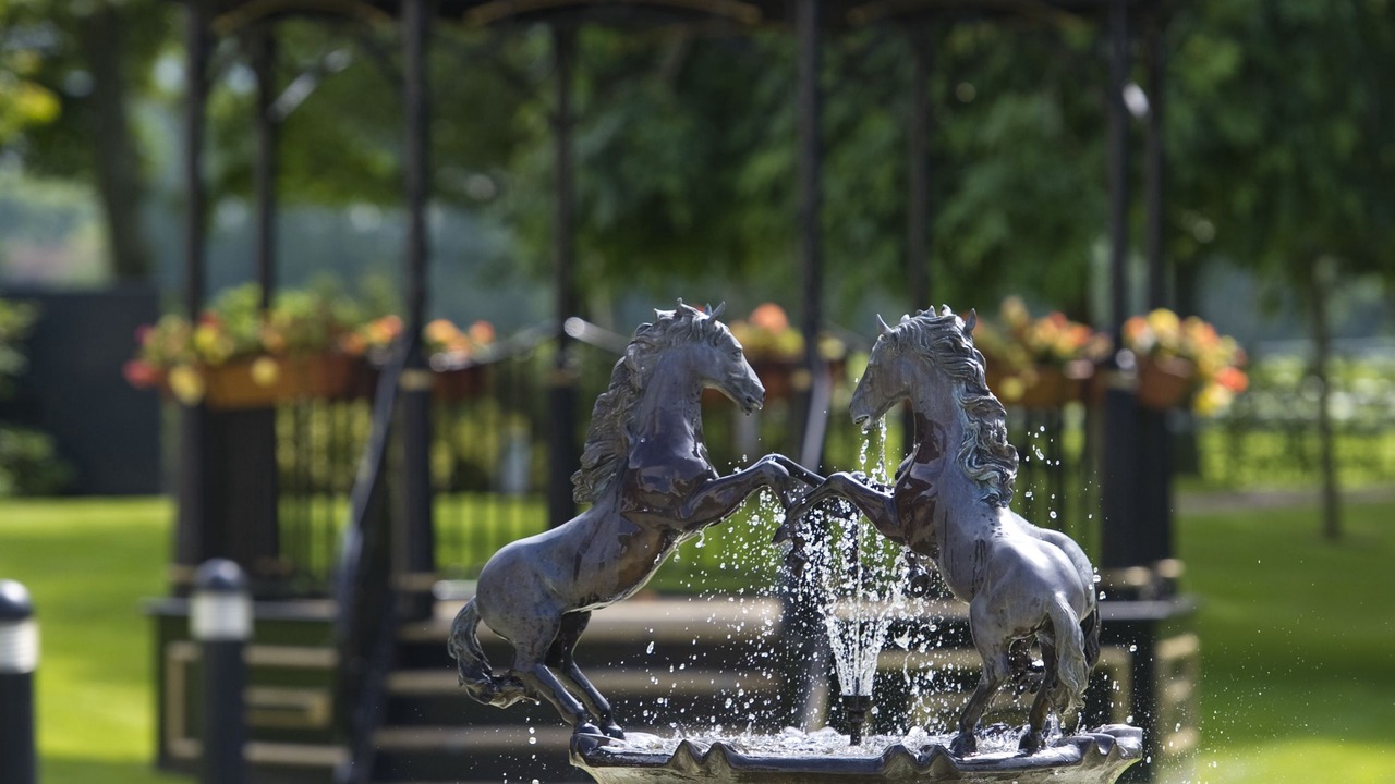 Photo of Outdoor in Ayr