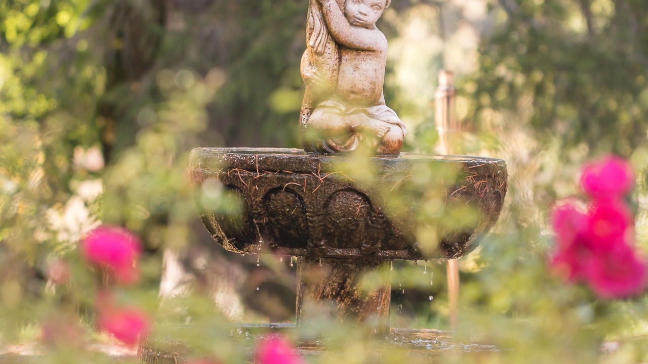 Photo of Outdoor in Meyrueis