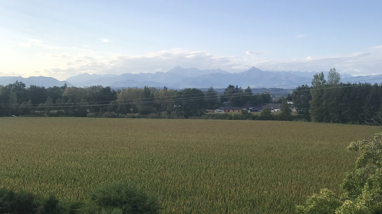 Photo of Others in Odos