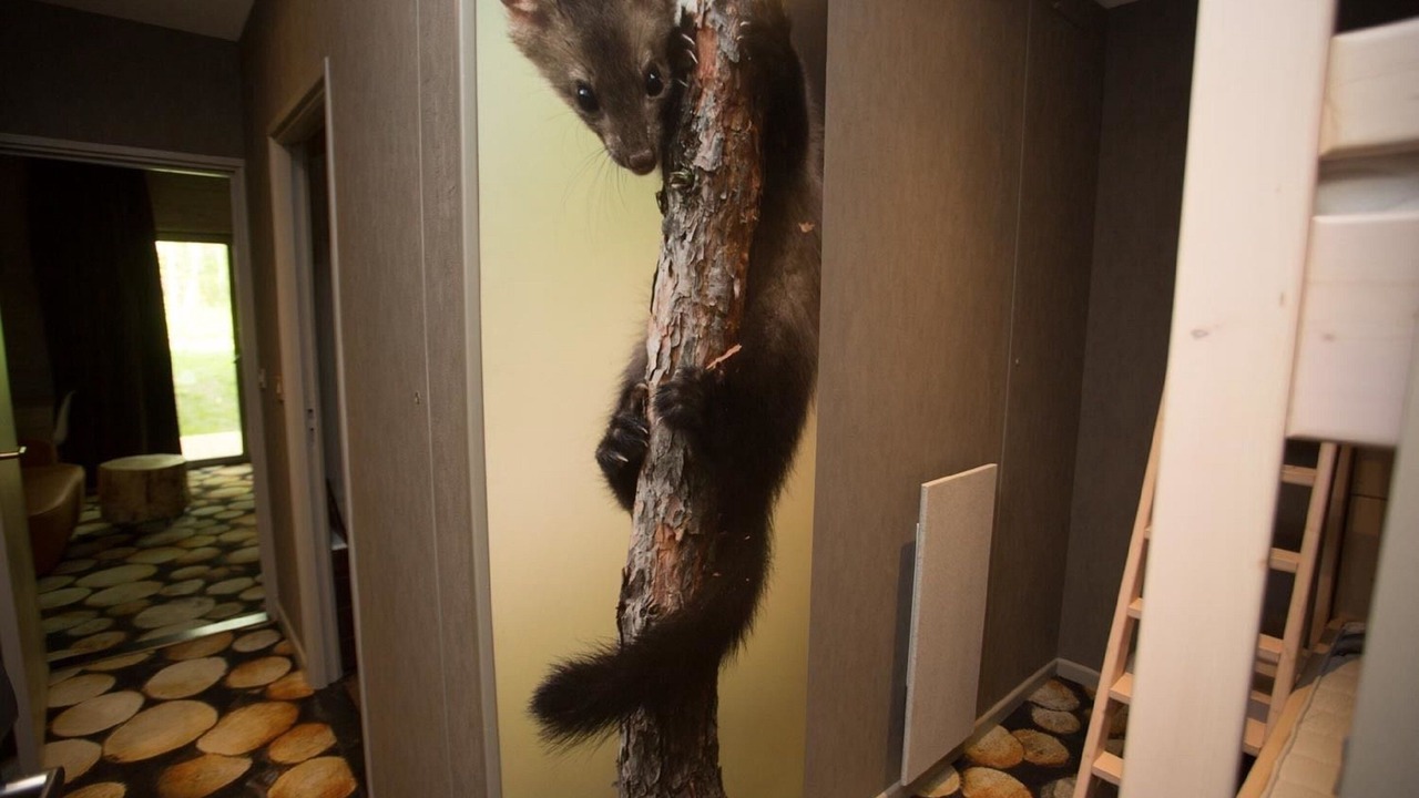 Photo of Others in Plailly