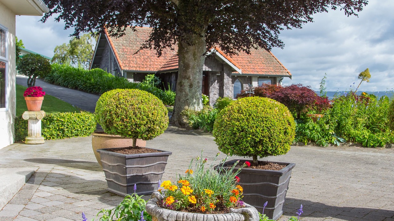 Photo of Outdoor in Kawaha Point