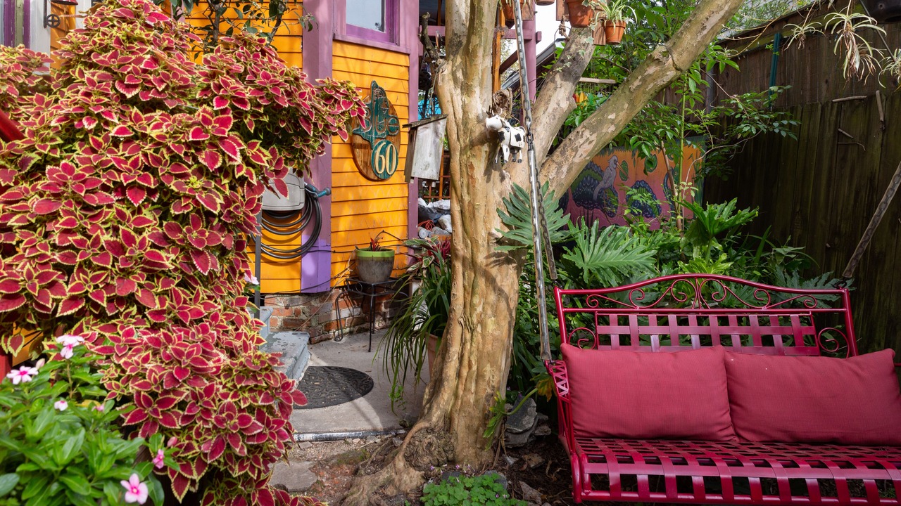 Photo of Outdoor in Faubourg Marigny