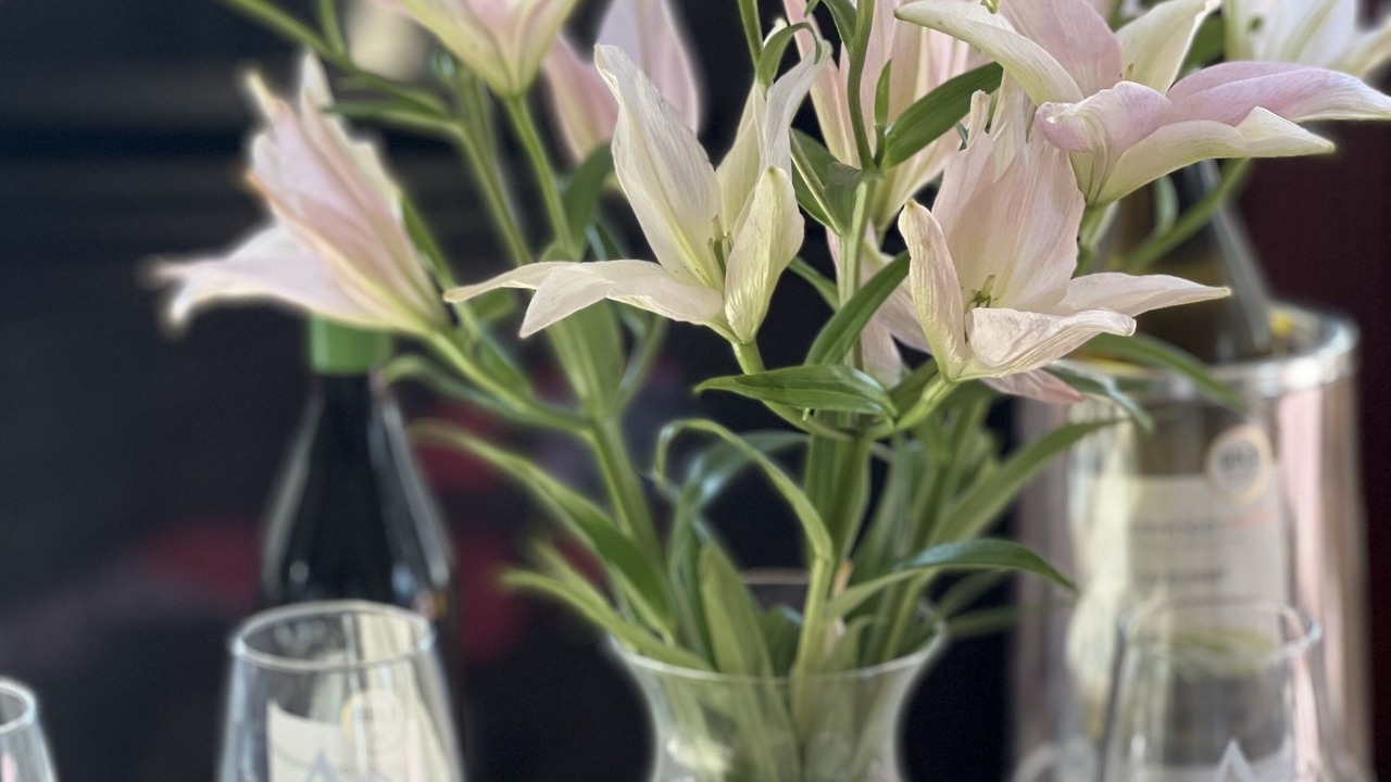 Photo of Others in Newport