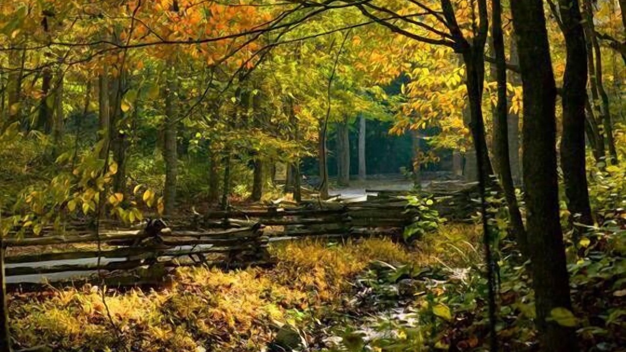 Photo of Outdoor in Townsend