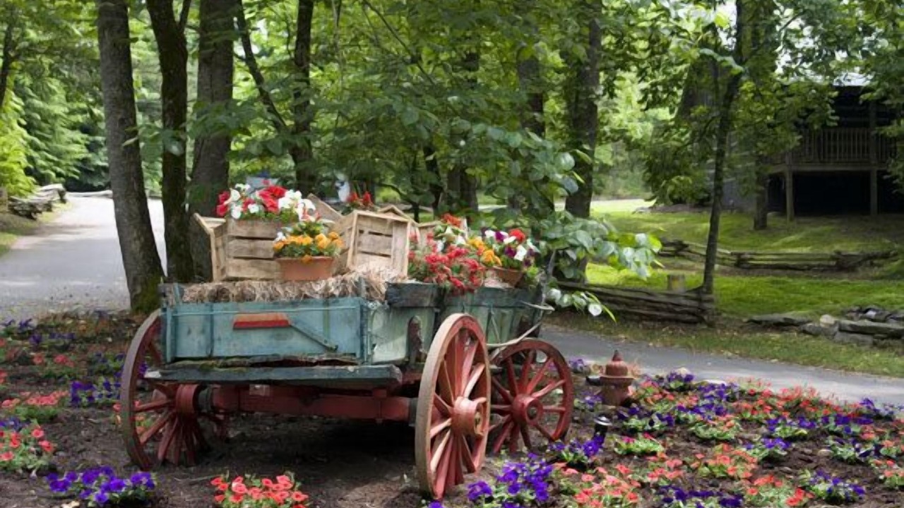 Photo of Outdoor in Townsend
