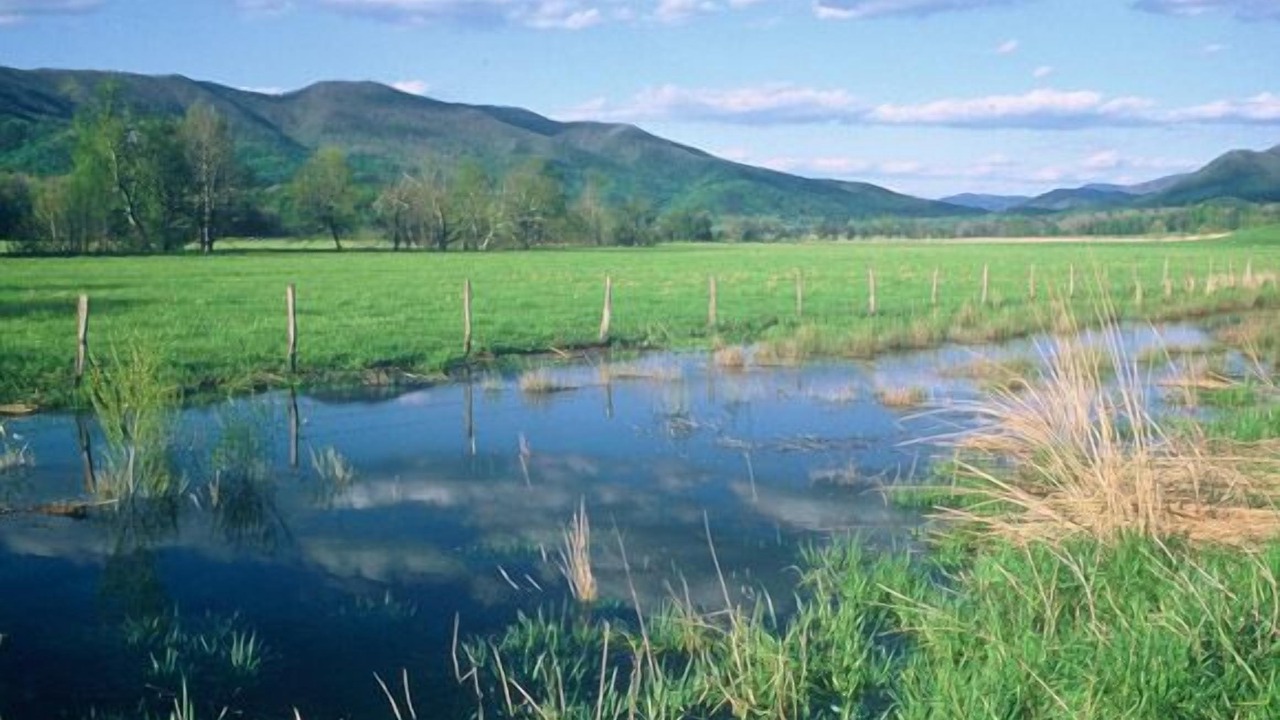 Photo of Outdoor in Townsend