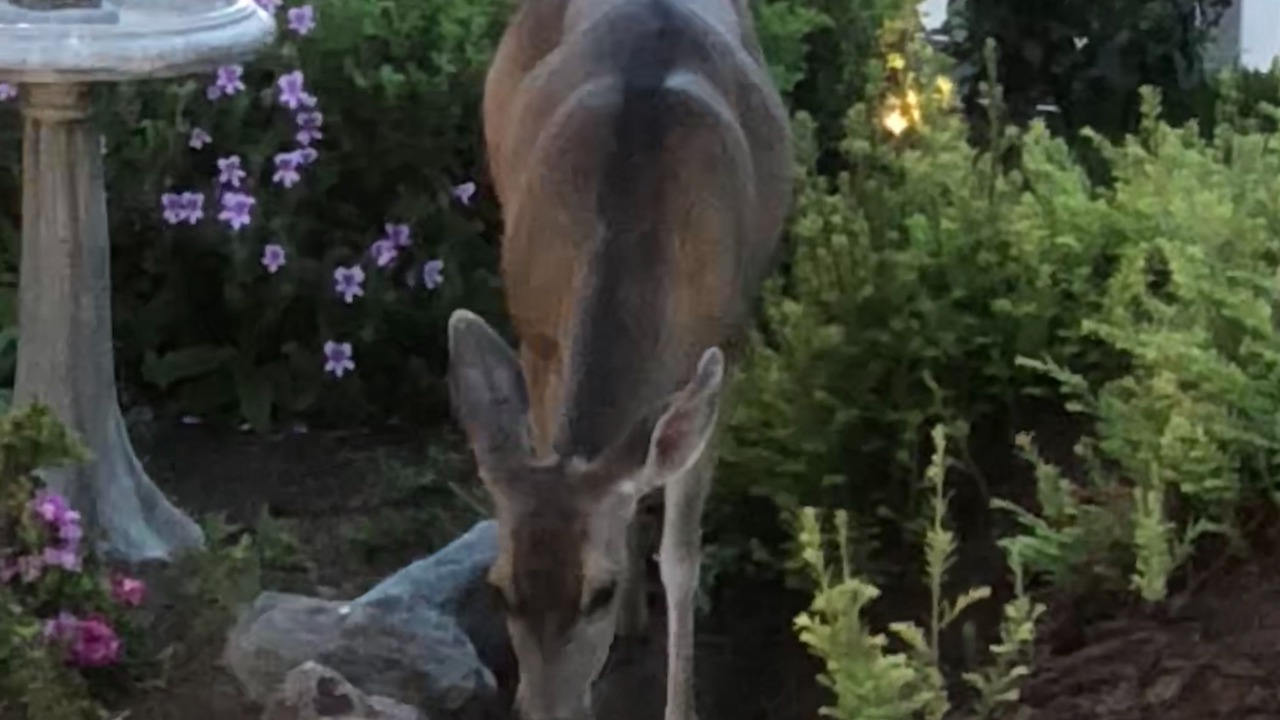 Photo of Others in Cambria