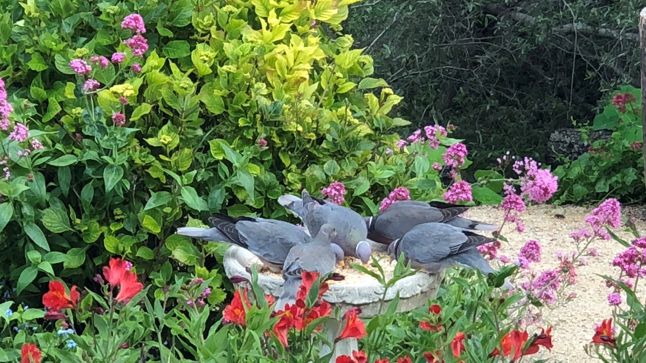 Photo of Others in Cambria