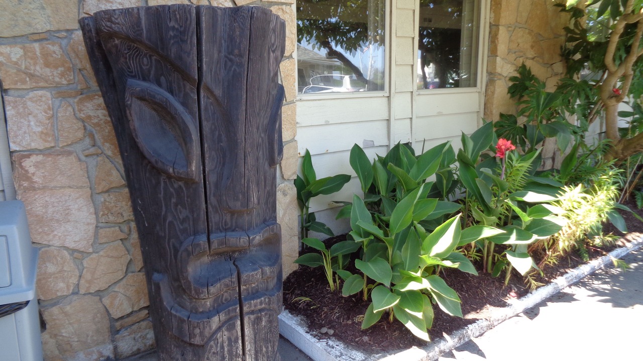 Photo of Outdoor in Ocean Shores