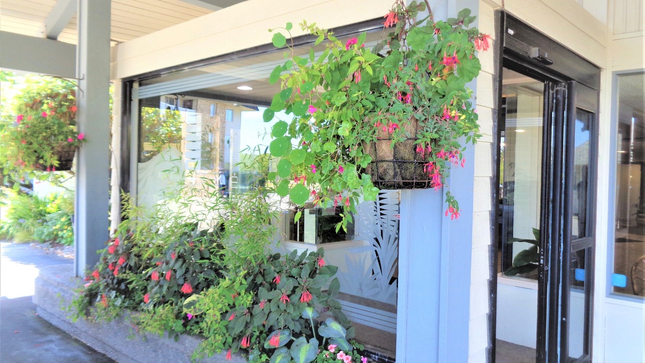 Photo of Others in Ocean Shores