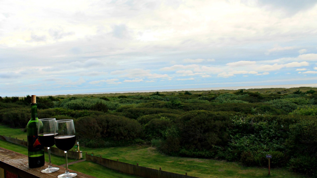 Photo of Others in Ocean Shores