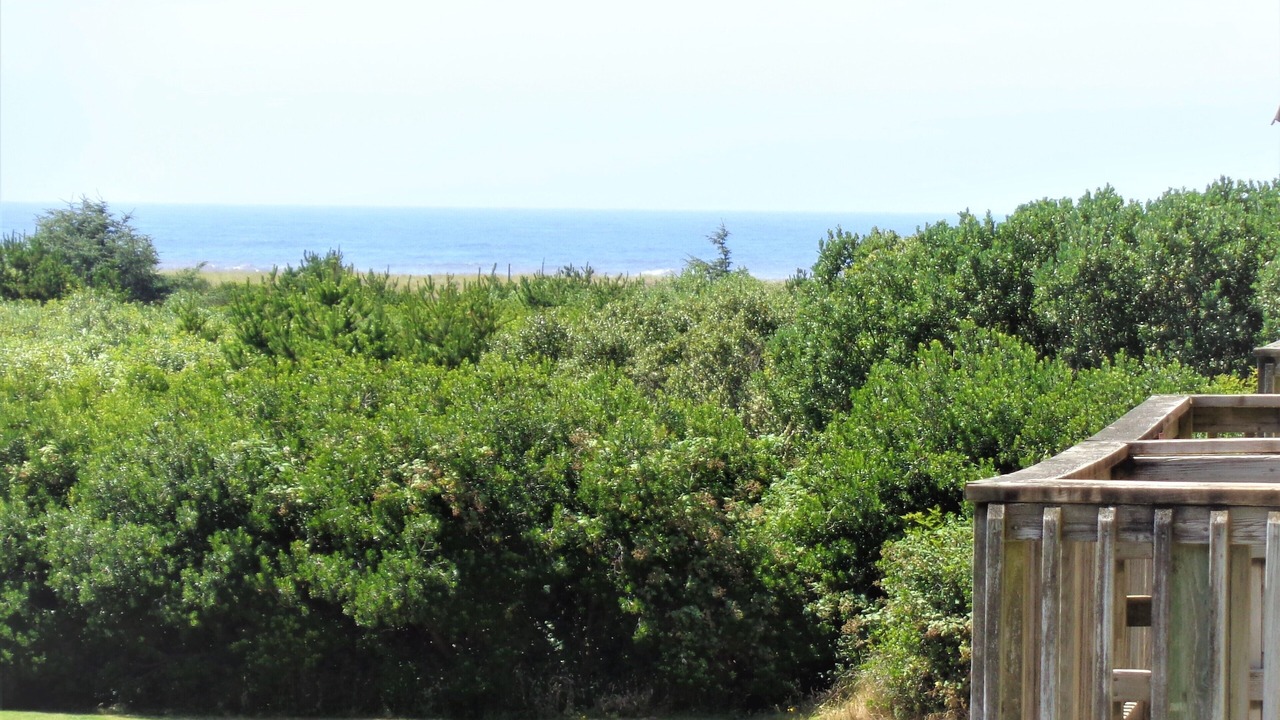 Photo of Patio Balcony in Ocean Shores