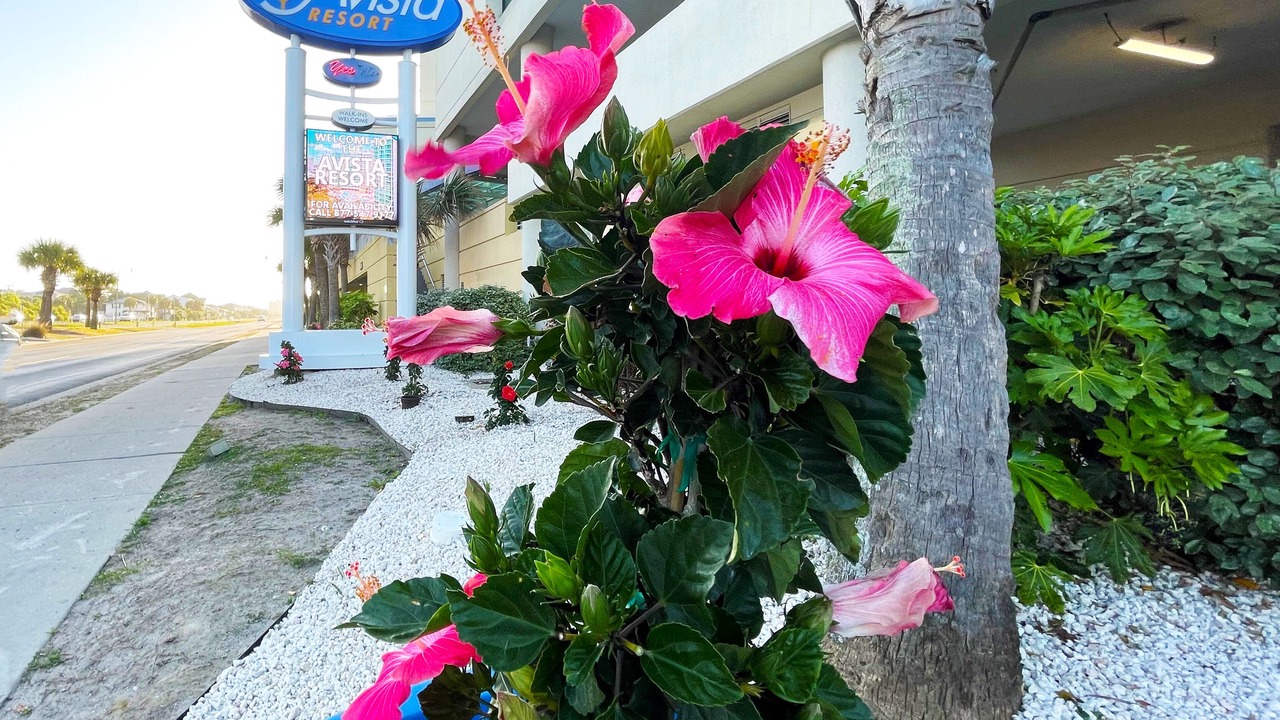 Photo of Outdoor in Ocean Drive