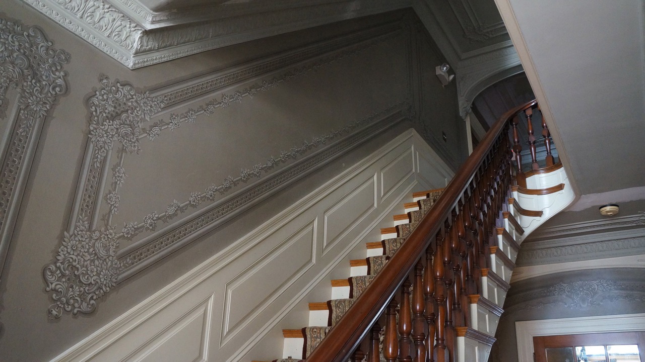 Photo of Others in Dover