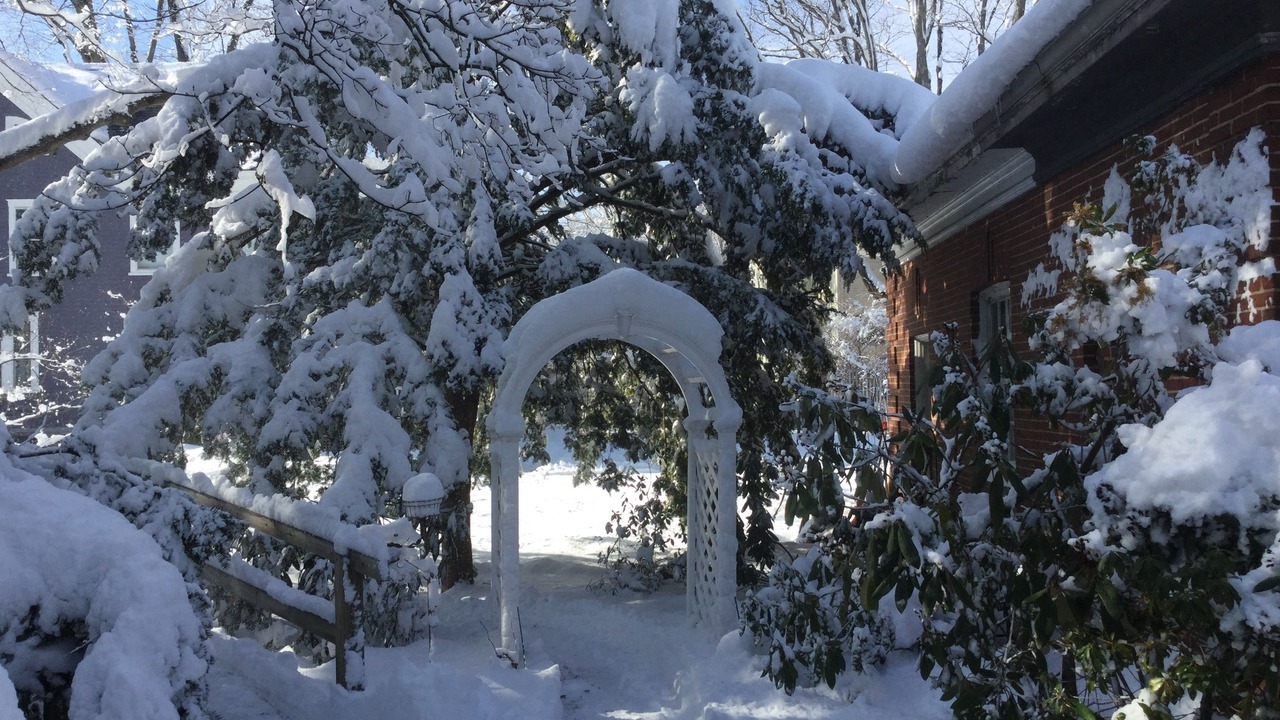 Photo of Outdoor in Dover