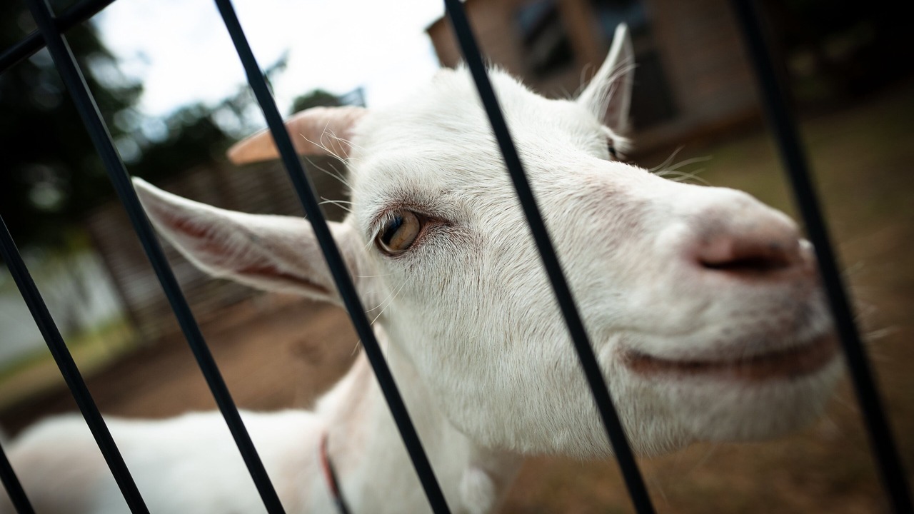Photo of Outdoor in Chorey-les-Beaune
