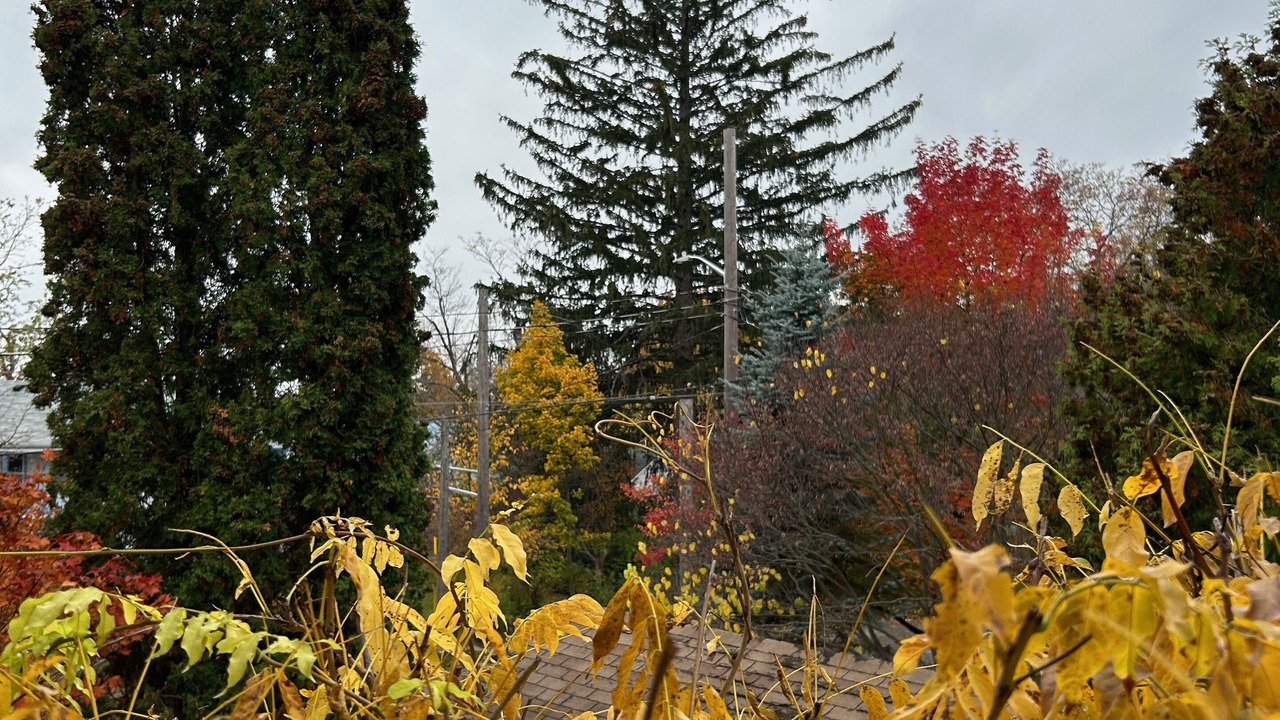 Photo of Others in Guelph